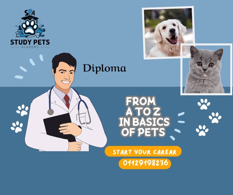 Diploma in Basic pets field